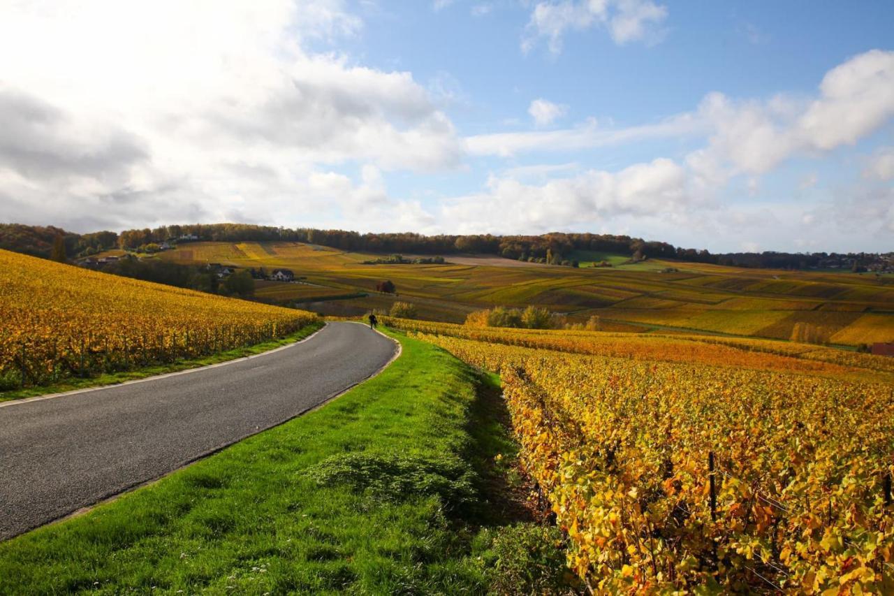 Hostellerie Briqueterie & Spa Champagne Vinay  Екстер'єр фото Vineyards in the Moselle valley